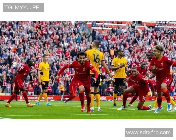 皇马与利物浦对决走势分析及未来比赛预测探讨